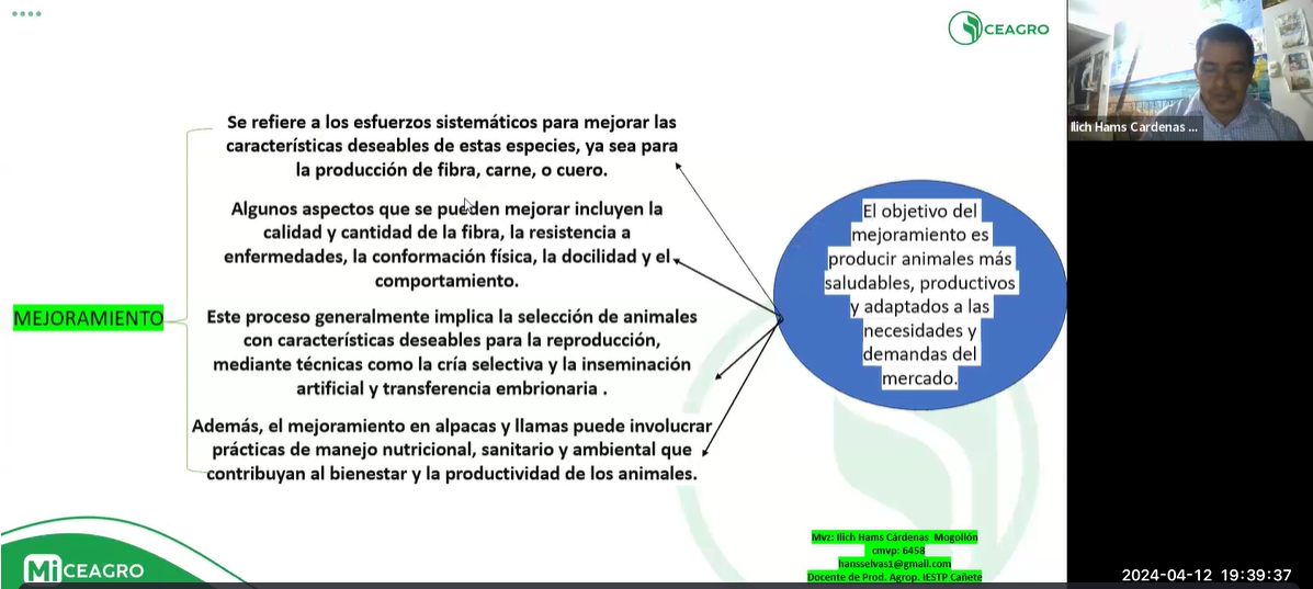 MEJORAMIENTO GENÉTICO DE LLAMAS  Y ALPACAS